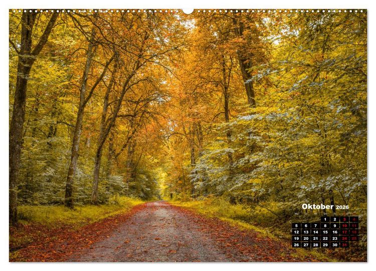 Produktbild: Rund um den Sch&ouml;nbuch (Wandkalender 2026 DIN A2 quer), CALVENDO Monatskalender