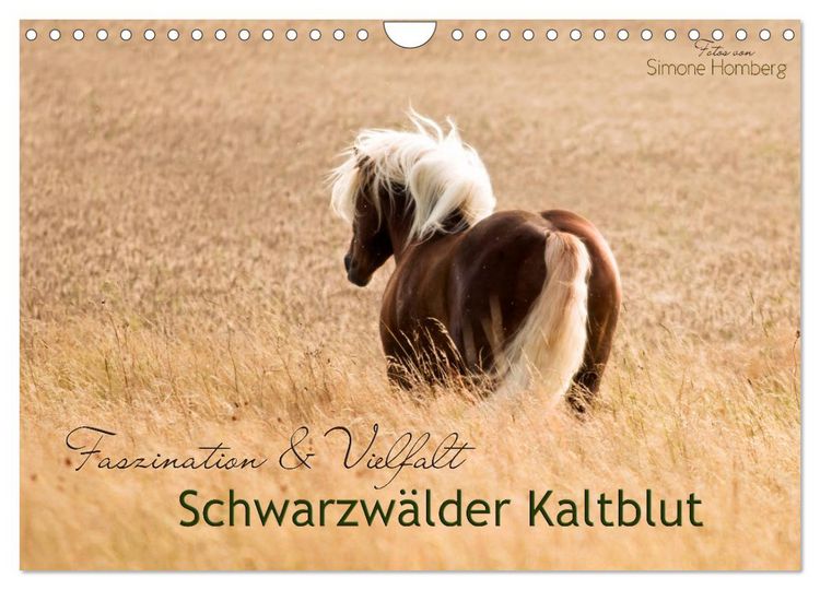 Produktbild: Faszination und Vielfalt - Schwarzw&auml;lder Kaltblut (Wandkalender 2026 DIN A4 quer), CALVENDO Monatskalender