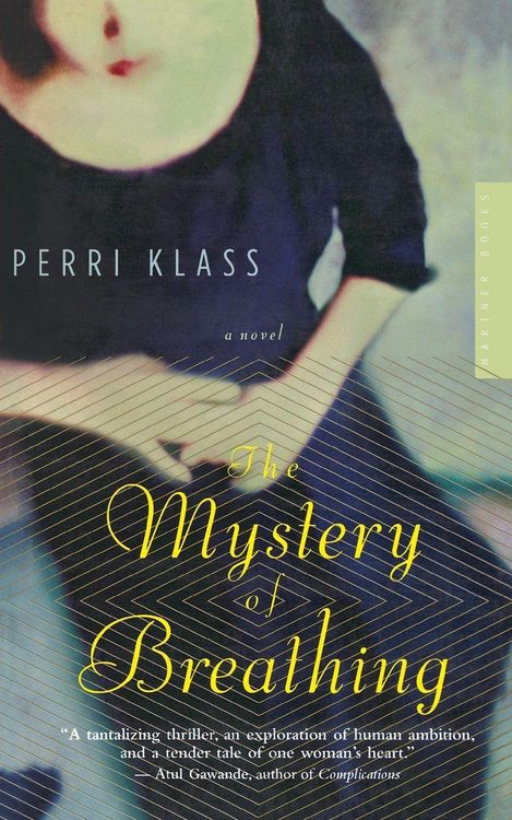 Produktbild: The Mystery of Breathing