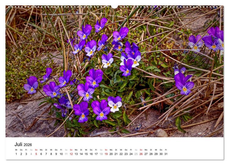 Produktbild: D&uuml;nenmomente - Ein Tag in den D&uuml;nen Nordj&uuml;tlands (hochwertiger Premium Wandkalender 2026 DIN A2 quer), Kunstdruck in Hochglanz