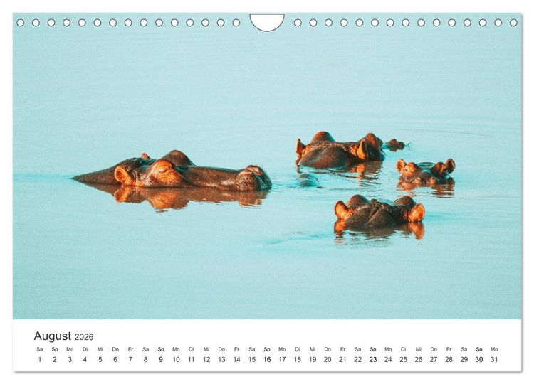 Produktbild: Safari durch Afrika (Wandkalender 2026 DIN A4 quer), CALVENDO Monatskalender