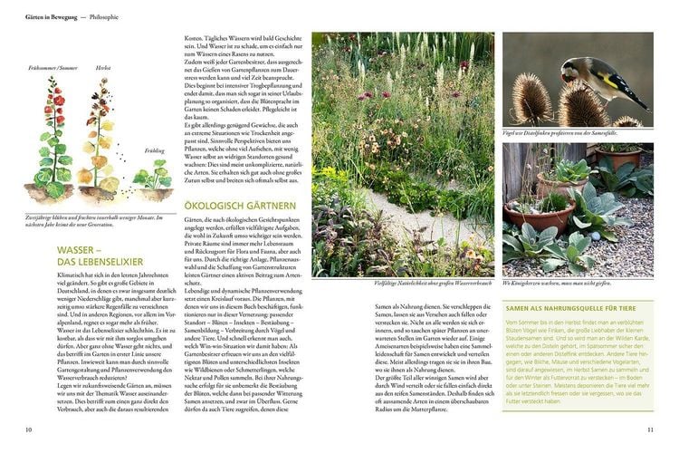 Produktbild: Der antiautorit&auml;re Garten