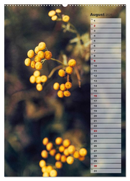 Produktbild: Kalender - Natur im Detail (Wandkalender 2026 DIN A2 hoch), CALVENDO Monatskalender