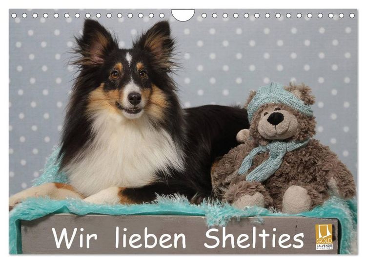 Produktbild: Wir lieben Shelties (Wandkalender 2026 DIN A4 quer), CALVENDO Monatskalender