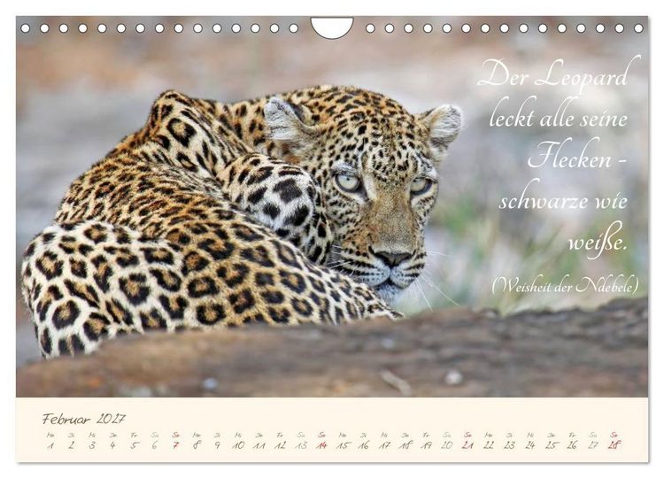 Produktbild: AFRIKA mit einem Hauch von Poesie (Wandkalender 2027 DIN A4 quer), CALVENDO Monatskalender
