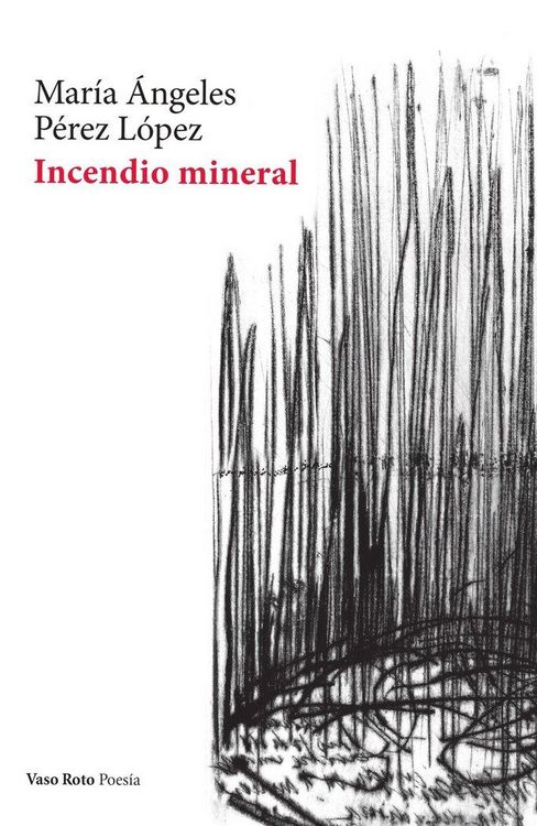 Produktbild: Incendio mineral