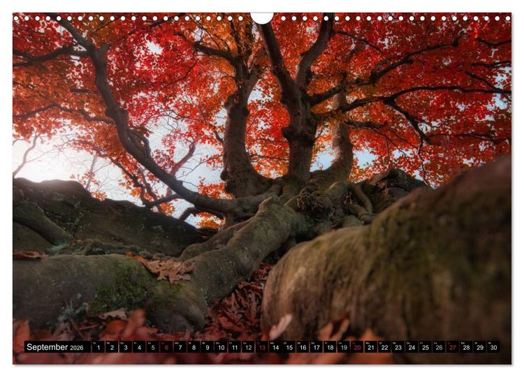 Produktbild: Lichtstimmungen Th&uuml;ringen - Eine Reise von Morgens bis Abends (Wandkalender 2026 DIN A3 quer), CALVENDO Monatskalender
