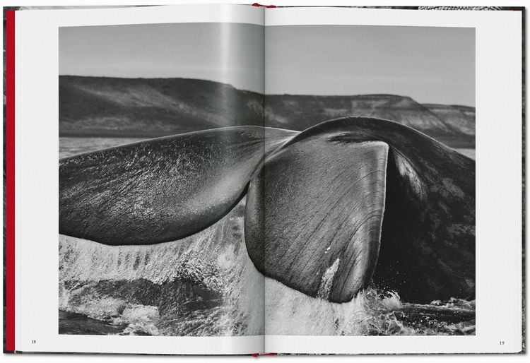 Produktbild: Sebasti&atilde;o Salgado
