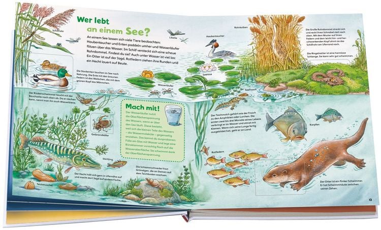 Produktbild: WAS IST WAS Junior Entdecke die Natur