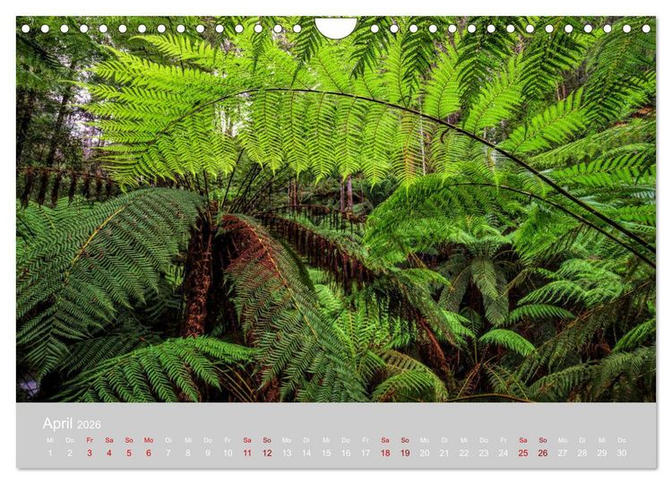 Produktbild: Tasmanien - Juwel am anderen Ende der Welt (Wandkalender 2026 DIN A4 quer), CALVENDO Monatskalender