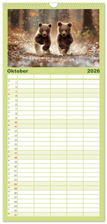 Produktbild: Familienplaner 2026 - Wildes B&auml;renland mit 5 Spalten (Wandkalender, 21 x 45 cm) CALVENDO