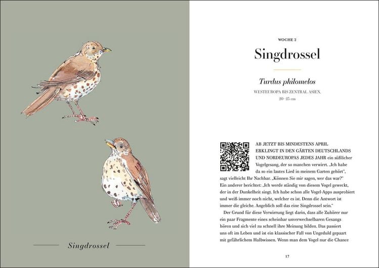 Produktbild: Der Gesang der V&ouml;gel