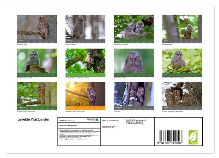 Produktbild: geliebte Waldgeister (Wandkalender 2026 DIN A4 quer), CALVENDO Monatskalender