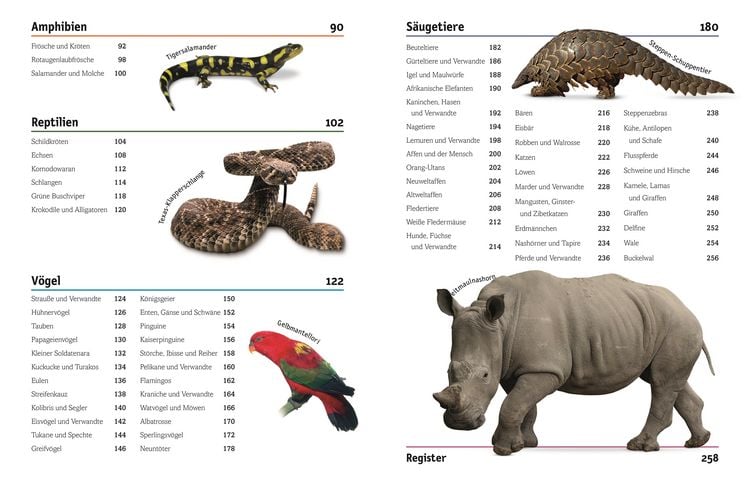 Produktbild: Unsere Welt in 1000 Bildern. Tiere