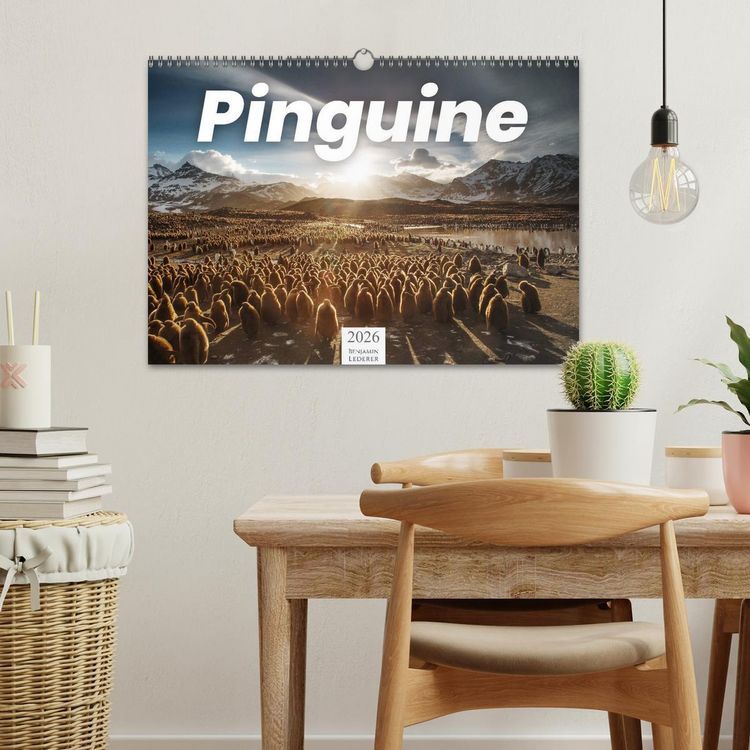 Produktbild: Pinguine - Die sympathischen Frack-Tr&auml;ger (Wandkalender 2026 DIN A3 quer), CALVENDO Monatskalender