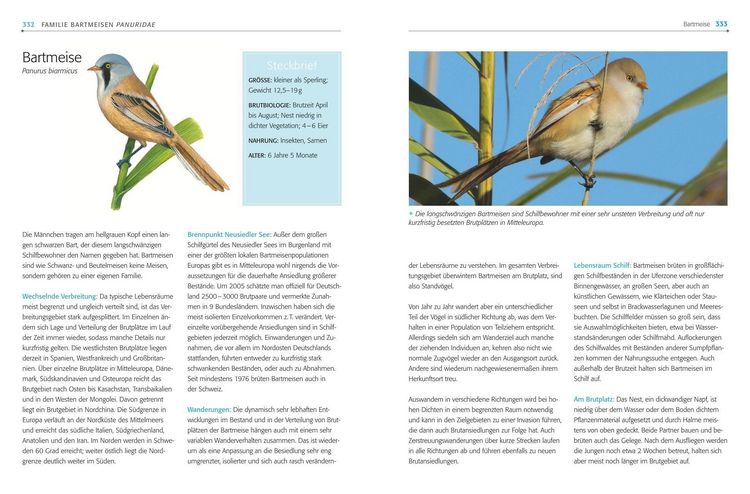 Produktbild: Das BLV Handbuch V&ouml;gel