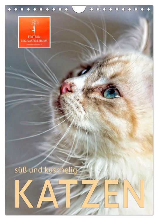 Produktbild: Katzen - s&uuml;&szlig; und kuschelig (Wandkalender 2026 DIN A4 hoch), CALVENDO Monatskalender