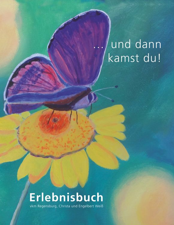 Produktbild: ... und dann kamst du!