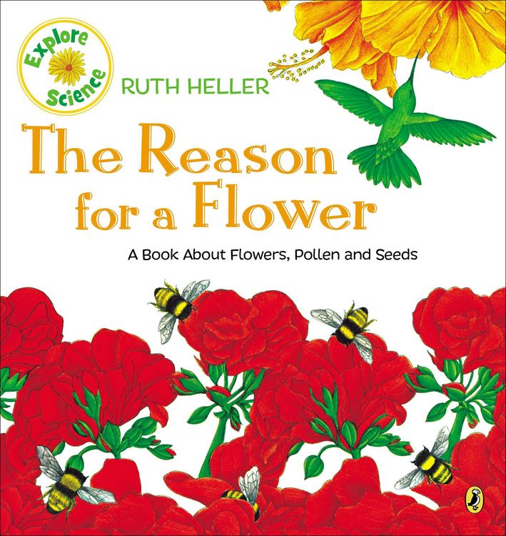 Produktbild: The Reason for a Flower
