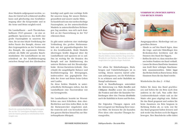 Produktbild: Das gro&szlig;e Faszien-Yoga Buch