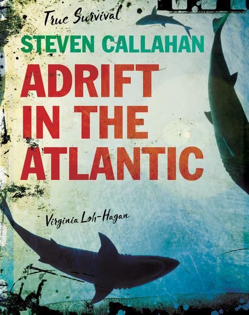 Produktbild: Steven Callahan