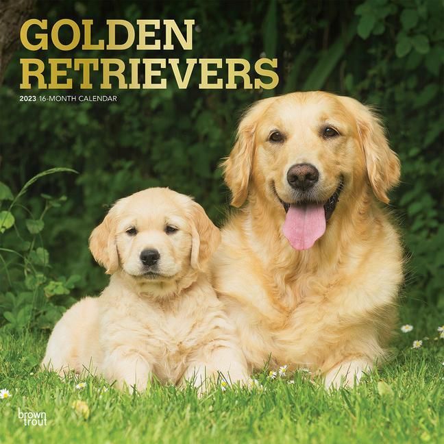 Produktbild: Golden Retrievers 2023 Square