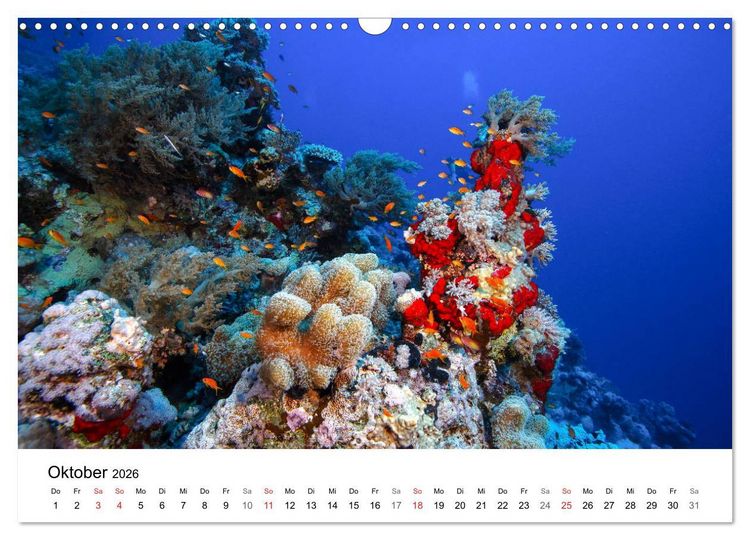 Produktbild: Highlights aus dem Meer - Tauchkalender (Wandkalender 2026 DIN A3 quer), CALVENDO Monatskalender