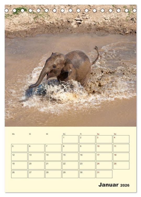 Produktbild: ELEFANTEN - Asiens graue Riesen (Tischkalender 2026 DIN A5 hoch), CALVENDO Monatskalender