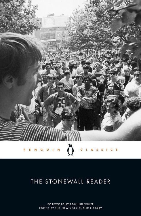Produktbild: The Stonewall Reader