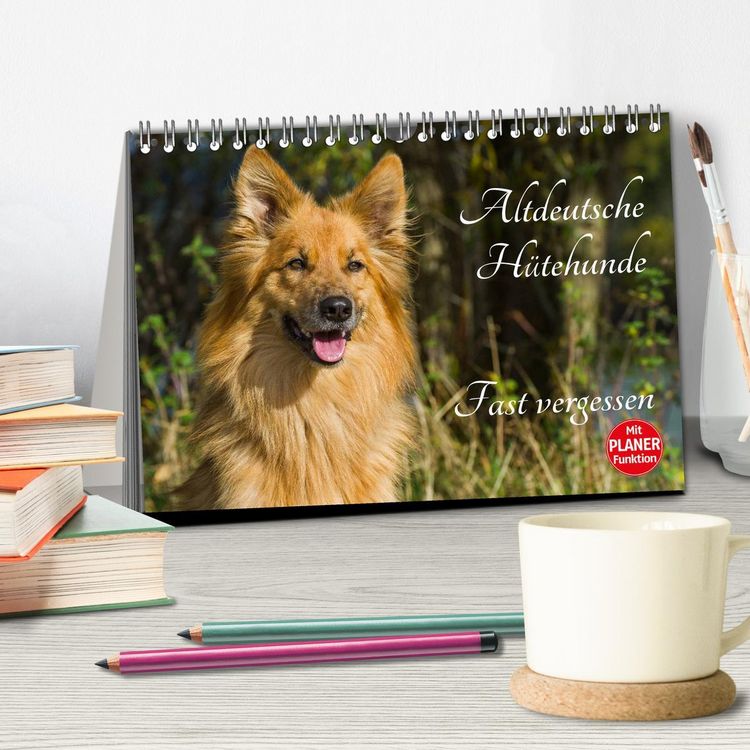 Produktbild: Altdeutsche H&uuml;tehunde - Fast vergessen (Tischkalender 2026 DIN A5 quer), CALVENDO Monatskalender