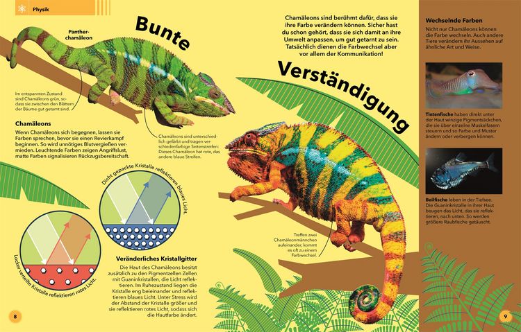 Produktbild: Tierisch clever