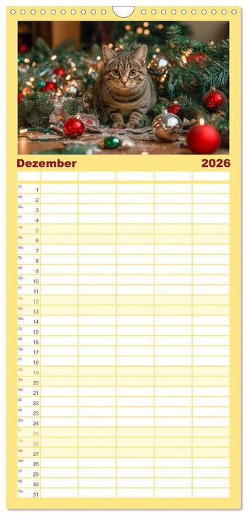 Produktbild: Familienplaner 2026 - Momente eines Katzenbesitzers - Chaos der Samtpfoten mit 5 Spalten (Wandkalender, 21 x 45 cm) CALVENDO