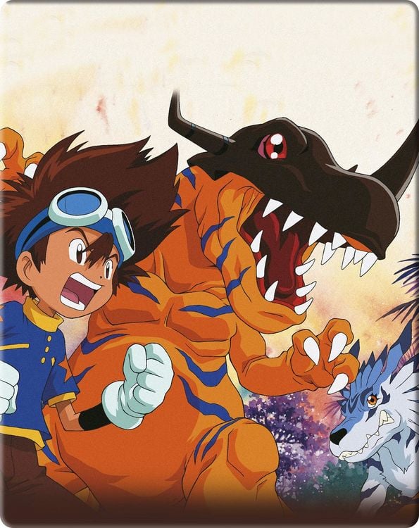 Produktbild: Digimon Adventure 01 (Volume 2: Episode 19-36) [3 DVDs]
