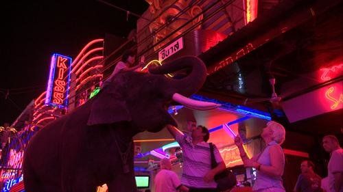 Produktbild: Der kleine Elefantenfl&uuml;sterer
