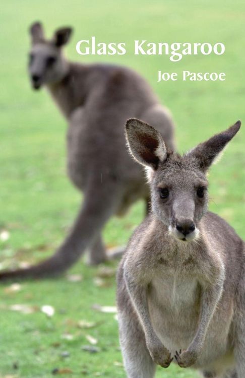 Produktbild: Glass Kangaroo