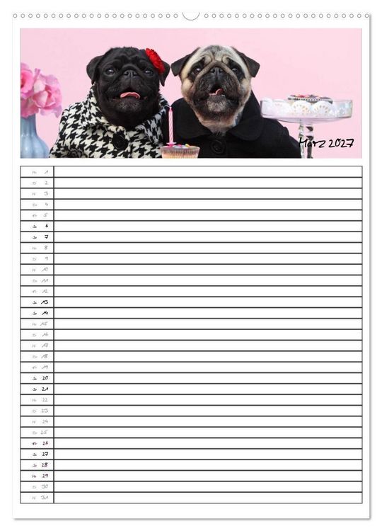Produktbild: Der mopsige Familienplaner (hochwertiger Premium Wandkalender 2027 DIN A2 hoch), Kunstdruck in Hochglanz