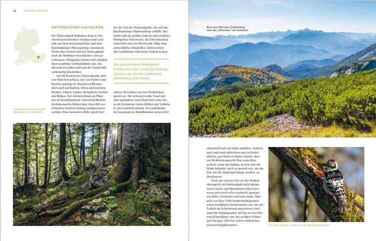 Produktbild: Unsere W&auml;lder