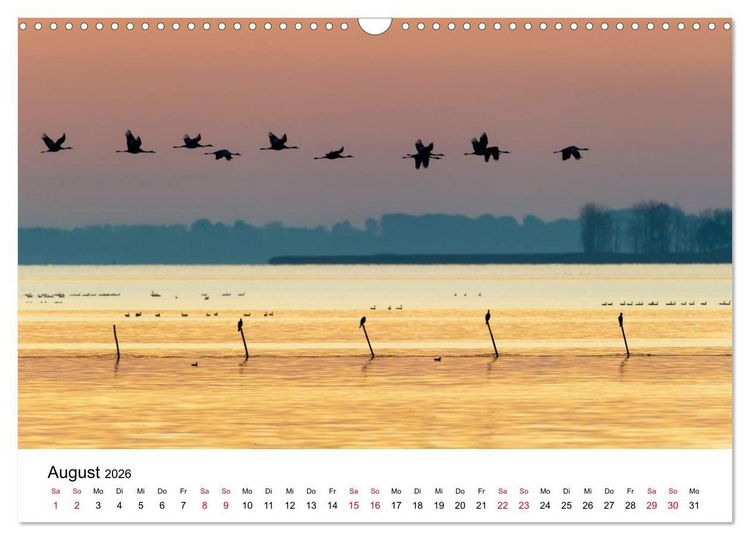 Produktbild: Zug der Kraniche (Wandkalender 2026 DIN A3 quer), CALVENDO Monatskalender