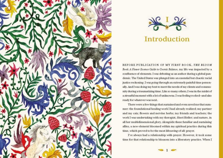 Produktbild: The Uncommon Book of Prayer
