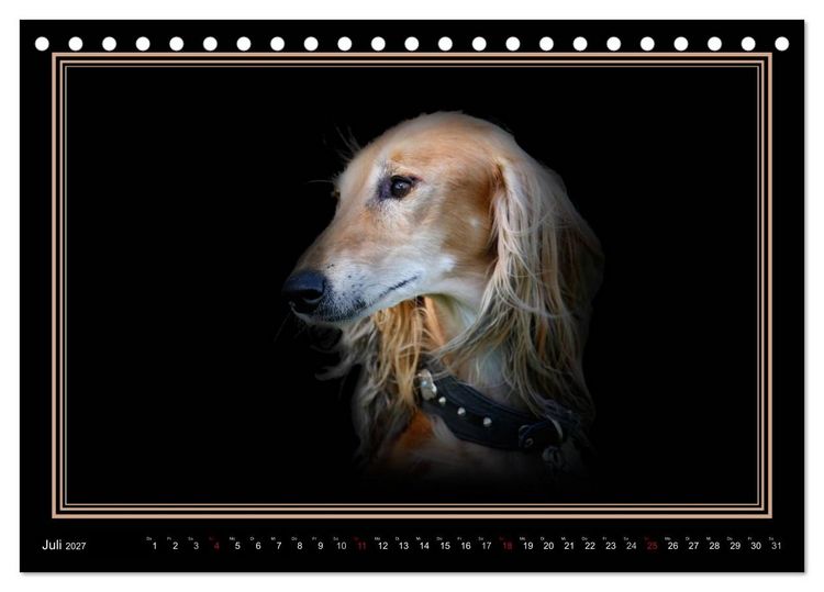 Produktbild: Saluki 2027 (Tischkalender 2027 DIN A5 quer), CALVENDO Monatskalender