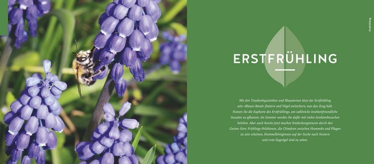 Produktbild: Quickfinder Artenvielfalt im Gartenjahr