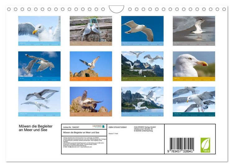 Produktbild: M&ouml;wen die Begleiter an Meer und See (Wandkalender 2026 DIN A4 quer), CALVENDO Monatskalender