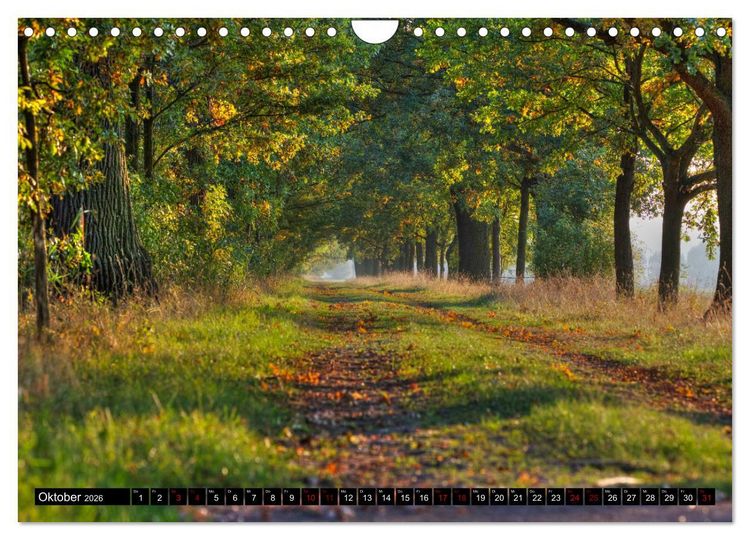 Produktbild: Oderlandschaft (Wandkalender 2026 DIN A4 quer), CALVENDO Monatskalender