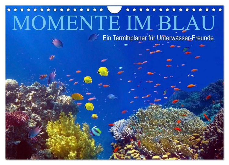 Produktbild: Momente im Blau - Ein Terminplaner f&uuml;r Unterwasser-Freunde (Wandkalender 2026 DIN A4 quer), CALVENDO Monatskalender
