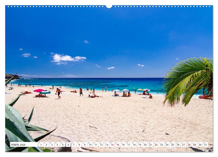 Produktbild: &Icirc;le de la R&eacute;union - Le paradis fran&ccedil;ais dans l'oc&eacute;an Indien (Calendrier mural 2026 DIN A2 vertical) calendrier de bureau