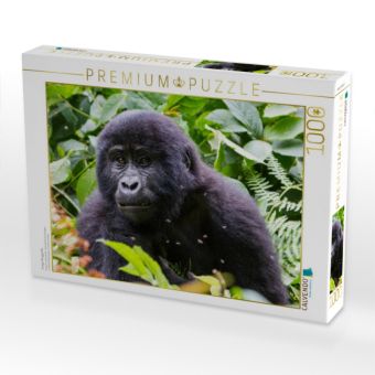 Produktbild: CALVENDO Puzzle Junger Berggorilla | 1000 Teile Lege-Gr&ouml;&szlig;e 64x48cm Foto-Puzzle f&uuml;r gl&uuml;ckliche Stunden