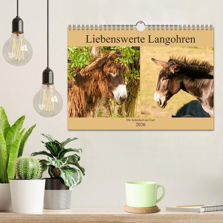 Produktbild: Liebenswerte Langohren - Die Sch&ouml;nheit der Esel (Wandkalender 2026 DIN A4 quer), CALVENDO Monatskalender