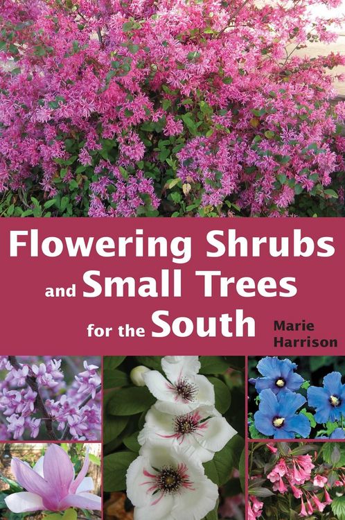 Produktbild: Flowering Shrubs and Small Trees for the South