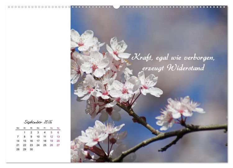 Produktbild: Innehalten in der Natur ... mit Weisheiten und Sprichworten der Indianer (hochwertiger Premium Wandkalender 2026 DIN A2 quer), Kunstdruck in Hochglanz