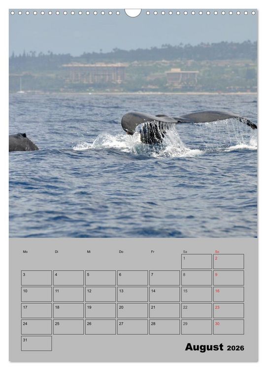 Produktbild: Hawaii - Land of Aloha (Wandkalender 2026 DIN A3 hoch), CALVENDO Monatskalender